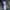 Armani	 Luxury Casual Windbreaker Pria green photo 6
