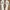 Casual Sandals & slide Wanita white photo 5