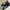 Adidas Streetwear Sportswear Sneakers Wanita white black photo 5