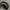 Vintage Sportswear Hat Pria black photo 6