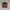 Feltics Grunge Biker Bomber jacket Pria burgundy photo 1