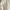 Casual High waisted jeans Wanita white photo 4