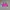 Nike Sportswear Bra Wanita pink photo 4