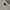 VANS Streetwear Skater T-shirt Pria multicolor photo 3