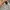 VANS Streetwear Skater T-shirt Pria multicolor photo 5