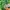 Adidas Streetwear Sportswear Hoody Pria green photo 3