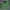 Adidas Streetwear Sportswear Hoody Pria green photo 1