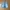 Tommy Hilfiger Streetwear Y2K Short Wanita blue photo 1
