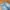 Tommy Hilfiger Streetwear Y2K Short Wanita blue photo 7