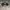 Yohji Yamamoto Vintage Sunglass Wanita green photo 1