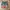 Marithè Fràncois Girbaud Streetwear Y2K Short Pria multicolor photo 1
