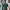 Adidas Sportswear Casual Track Jacket Pria Green Black
