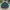 Adidas Sportswear Casual Track jacket Pria green black photo 1
