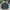 Adidas Sportswear Casual Track Jacket Pria Green Black