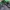 Adidas Sportswear Casual Track jacket Pria green black photo 5