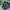 Adidas Sportswear Casual Track jacket Pria green black photo 3
