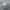 Adidas Casual Sneakers Pria cream gray photo 2