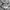Carhartt Streetwear Casual Sweater Pria gray photo 4