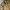 Japanese brand Vintage Y2K Puffer jacket Pria gold photo 3