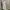 Vintage Coquette Summer dress Wanita white photo 3