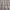 Burberry Vintage Luxury Casual shirt Pria khaki photo 6