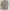 Burberry Vintage Luxury Casual shirt Pria khaki photo 4