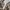 Burberry Vintage Luxury Casual shirt Pria khaki photo 8