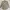 Burberry Vintage Luxury Casual shirt Pria khaki photo 1