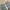 OOTJ Y2K Jeans Pria blue photo 4