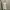 Vintage Coquette Summer dress Wanita white photo 1