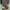 Adidas Luxury Casual Sneakers Pria red photo 5
