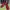Adidas Luxury Casual Sneakers Pria red photo 1
