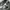 Santa Cruz Skateboards Streetwear Y2K Pria gray photo 3
