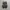 Nike Sportswear Sneakers Pria black photo 5