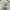 Uniqlo Casual Culotte Wanita multicolor white photo 5