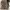 Louis Vuitton Luxury Handbag Wanita brown photo 4