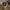 Louis Vuitton Luxury Handbag Wanita brown photo 5