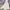 Nike Casual Casual shoe Pria white photo 3