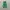 Adidas Casual Sneakers Pria green photo 3
