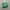 Adidas Casual Sneakers Pria green photo 1
