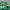 Adidas Casual Sneakers Pria green photo 2