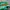 Adidas Casual Sneakers Pria Green