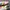 Adidas Casual Sneakers Pria multicolor photo 2