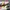 Adidas Casual Sneakers Pria Multicolor