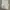 Vintage Cosplay Crop top Wanita white photo 1