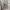 Lolita Coquette Blouse Wanita purple photo 2