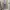 Lolita Coquette Blouse Wanita purple photo 4