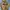 WHO.A.U Minimalist Suit Pria gold photo 2