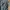 Armani	 Vintage Streetwear Jeans Pria navy photo 4