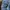 BOY London Vintage Streetwear Jeans Pria navy photo 5